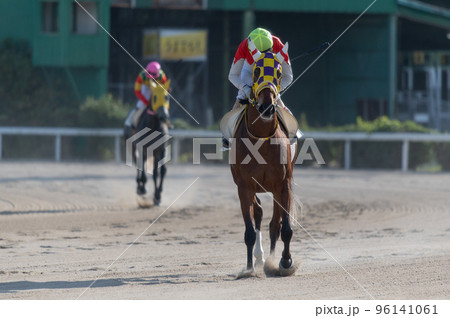 競馬の風景 競馬の風景 96141061