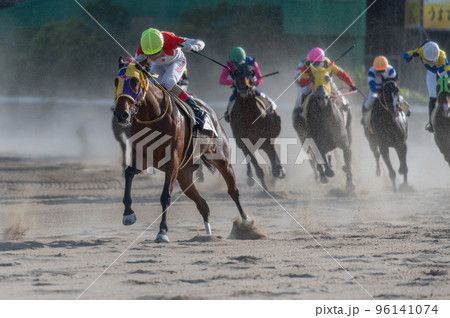 競馬の風景 96141074
