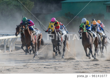 競馬の風景 96141077