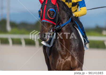 競馬の風景 96141085