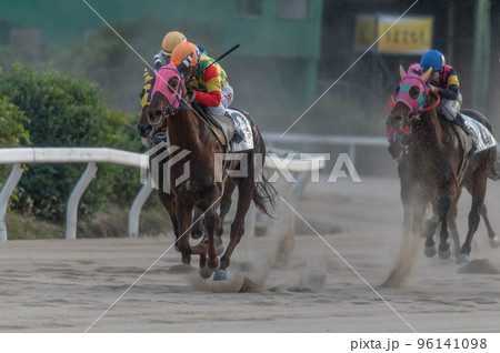 競馬の風景 競馬の風景 96141098