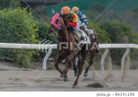 競馬の風景 競馬の風景 96141100