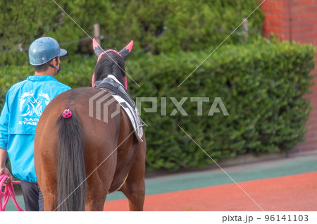 競馬の風景 96141103