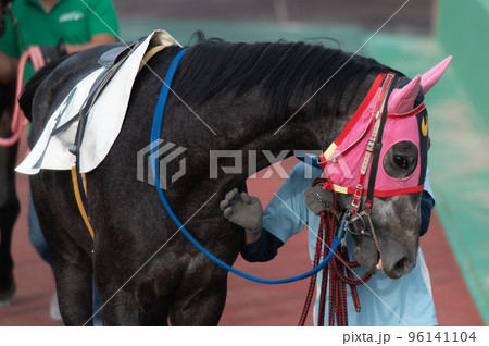 競馬の風景 競馬の風景 96141104