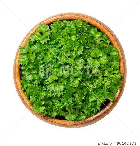 Fresh curly leaf parsley, in a wooden bowl. Curly parsley, with bright green crinkled leaves, used as a garnish. Petroselinum crispum, widely cultivated as herb and as vegetable. Close-up, from above. Fresh curly leaf parsley, in a wooden bowl. Curly parsley, with bright green crinkled leaves, used as a garnish. Petroselinum crispum, widely cultivated as herb and as vegetable. Close-up, from above. 96142171