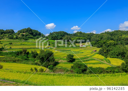 2022年9月30日 明日香村阪田から阪田と稲渕の棚田 2022年9月30日 明日香村阪田から阪田と稲渕の棚田 96142285