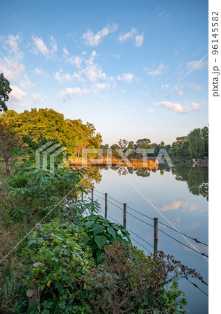 善福寺公園 善福寺公園 96145582