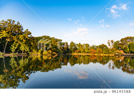 善福寺公園 善福寺公園 96145588