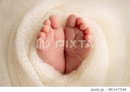 Soft feet of a newborn in a white woolen blanket. Close-up of toes, heels and feet of a newborn baby. The tiny foot of a newborn. Studio Macro photography. Baby feet covered with isolated background.  96147594