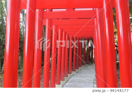 福島県　会津美里に伊佐須美神社 96148177