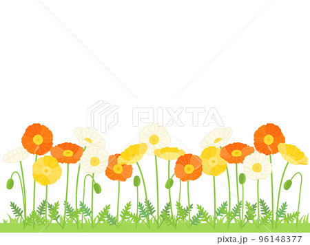 黄色と白とオレンジ色のポピーのお花畑をイメージしたイラスト 96148377