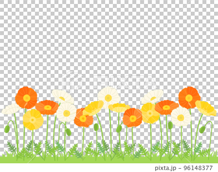 黄色と白とオレンジ色のポピーのお花畑をイメージしたイラスト 96148377