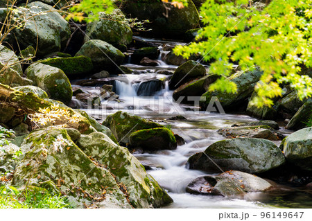 《福岡県》秋の野河内渓谷（のごうちけいこく）　福岡市早良区 96149647