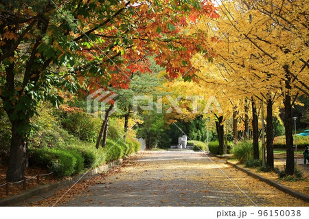 女性 女 女の子 96150038