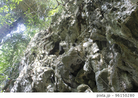 Beautiful nature rocks cliff in tropical jungle 96150280