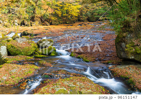 《熊本県》菊池渓谷　熊本県・菊池川上流 96151147