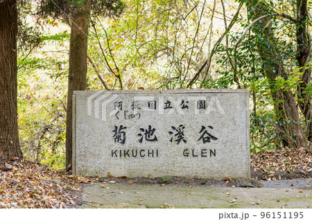 《熊本県》菊池渓谷 熊本県・菊池川上流 《熊本県》菊池渓谷 熊本県・菊池川上流 96151195