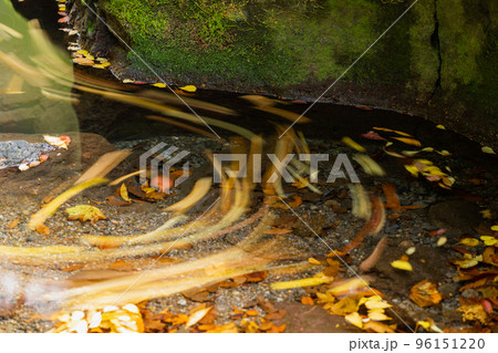 《熊本県》菊池渓谷 熊本県・菊池川上流 《熊本県》菊池渓谷 熊本県・菊池川上流 96151220