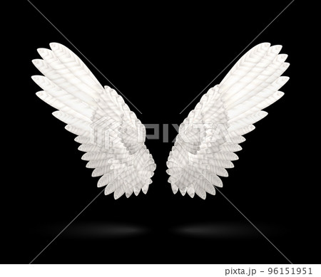 White Wings White Wings 96151951