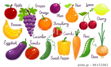 Set of vector fresh fruit and vegetables 96152062