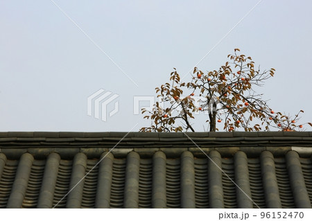 秋 スポット 歴史 96152470