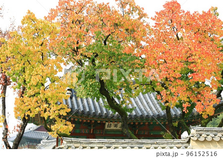 秋 スポット 歴史 96152516