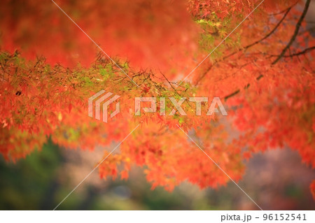 秋 スポット 歴史 96152541