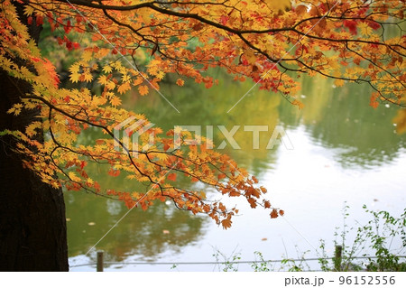 秋 スポット 歴史 96152556