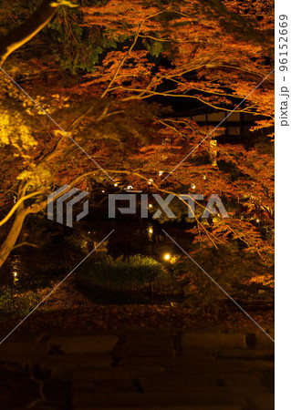 京都岡崎の秋　金戒光明寺　紅葉ライトアップ　紫雲の庭 96152669