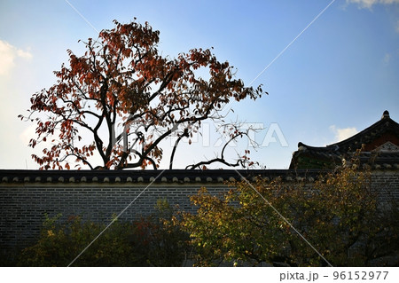 秋 スポット 歴史 96152977