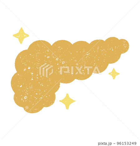 手描きの元気な膵臓 96153249