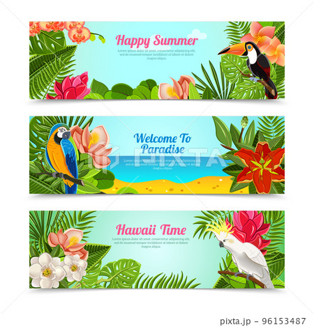 Tropical island flowers horizontal banners set 96153487