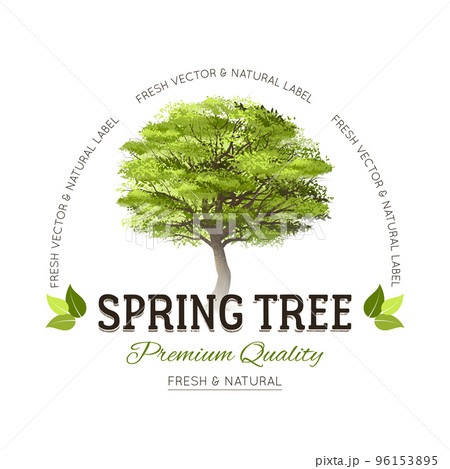 Tree typography logoのイラスト素材 [96153895] - PIXTA