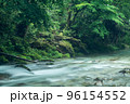 朝霧の清流 96154552