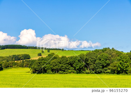 風景 (9月　北海道　晴れ) 96155270