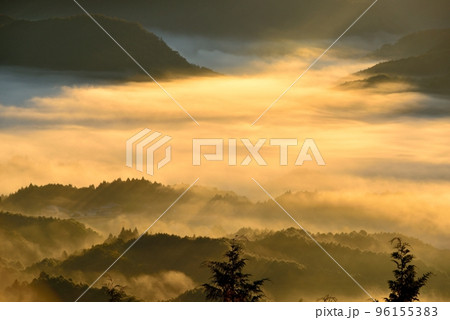 鳥見山からの宇陀盆地の雲海 96155383