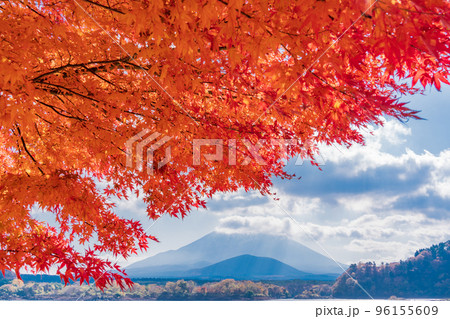 (山梨県)精進湖、湖畔の紅葉と富士山 (山梨県)精進湖、湖畔の紅葉と富士山 96155609