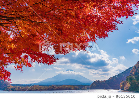 （山梨県）精進湖、湖畔の紅葉と富士山 96155610