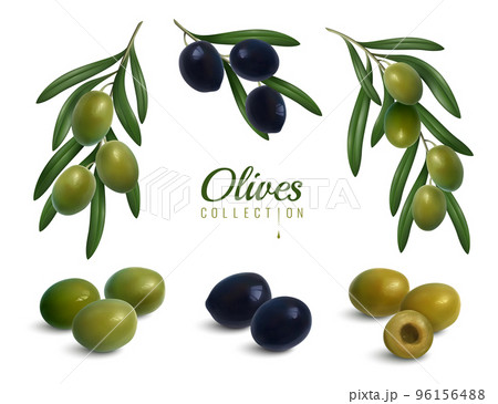 Realistic Olives Branches Set Realistic Olives Branches Set 96156488