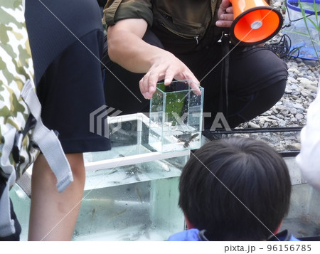魚好きのためのイベント ~ event for boy lovers fish 魚好きのためのイベント ~ event for boy lovers fish 96156785
