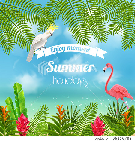 Enjoy Tropical Summer Background 96156788