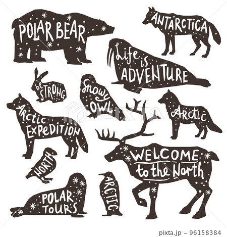 Polar Animals Silhouettes 96158384