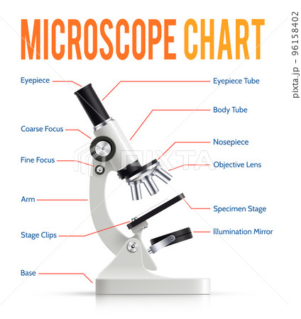Realistic Microscope Parts Infographic Presentation Chart Realistic Microscope Parts Infographic Presentation Chart 96158402