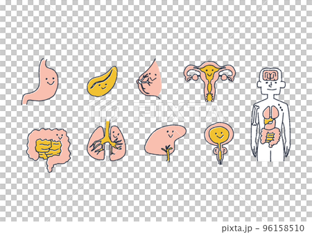 Friendly human healthy organ illustration Friendly human healthy organ illustration 96158510