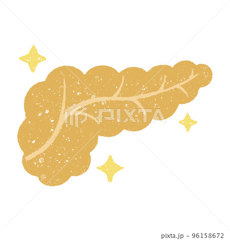 手描きの元気なかわいい膵臓 96158672