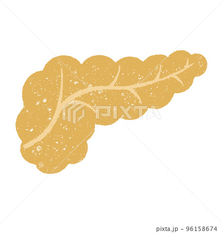 手描きの元気なかわいい膵臓 手描きの元気なかわいい膵臓 96158674