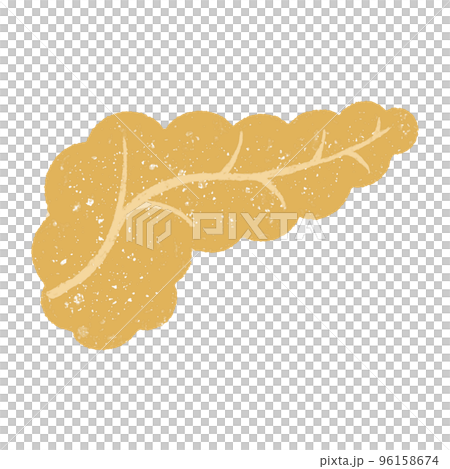 手描きの元気なかわいい膵臓 手描きの元気なかわいい膵臓 96158674