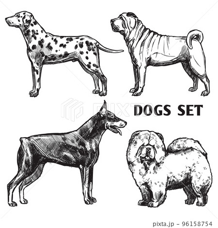 Sketch Dogs Portrait Set 96158754