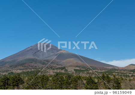 水が塚公園からの富士山 水が塚公園からの富士山 96159049