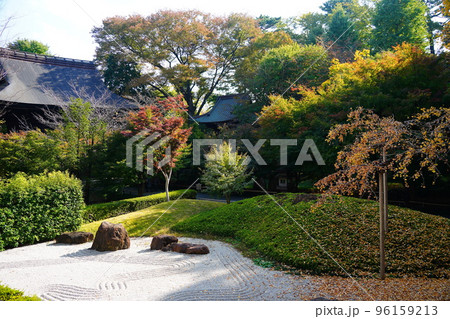 徐々に紅葉になりつつある九品仏浄真寺の境内 徐々に紅葉になりつつある九品仏浄真寺の境内 96159213